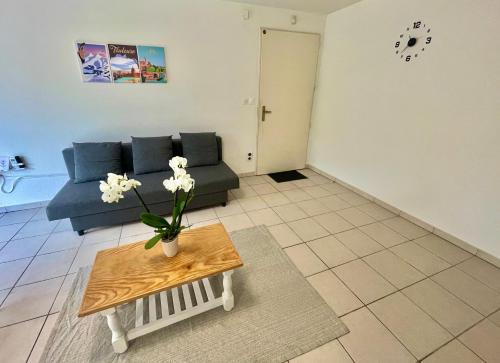 Mas St Simon  Entrée autonome - 4 pers - Wifi, Toulouse (Foto 7)