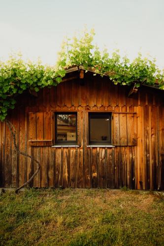 La Fournière de Jean - La Téouleyre (La Fourniere de Jean - La Teouleyre) in St Julien En Born