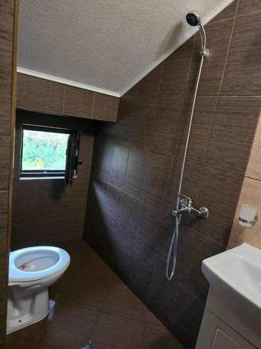 Стаи за гости Дани, Zlatograd (foto 10)