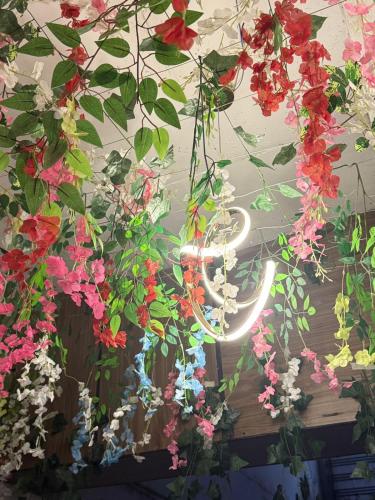 Myestay AC hostel Dorm in Varanasi