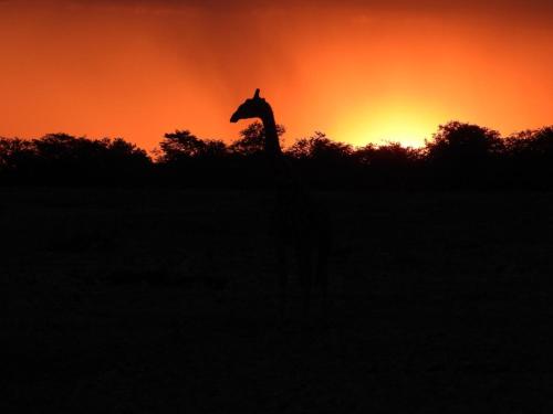 LoWes Africa, The Waterberg Biosphere