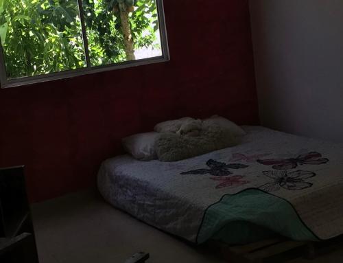 mar y luna apartment — other in Calle 17B 846, Mérida Mexico, 97312