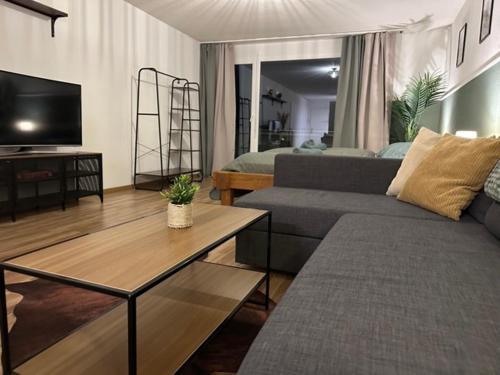 Central Hide Away Zurich-6floor,urban Studio, view, Zurigo (foto 10)