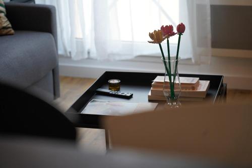 Topaze Duplex, Chartres (Foto 8)