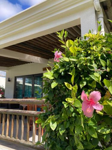 Villa Koki Bonheur Rodrigues in Pointe Coton