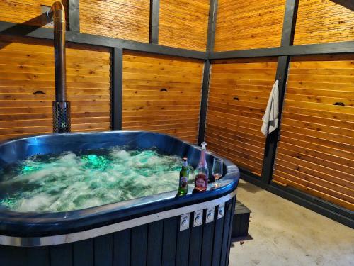 Cabana Deliuta in Cavnic