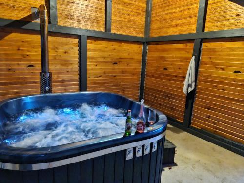 Cabana Deliuta in Cavnic