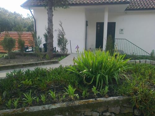  Casa do Peneirado, Pension in Penafiel