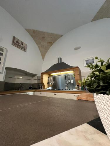 Casa di Bacco in 比特里托