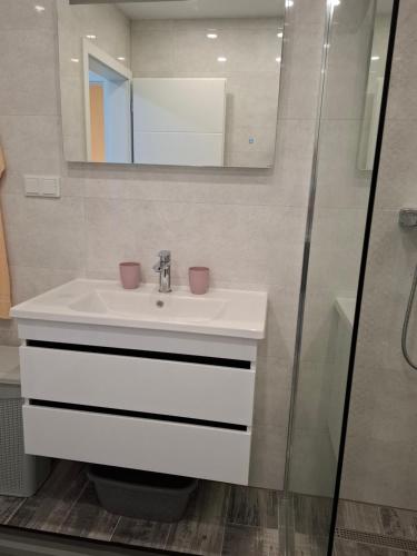 Apartman Ditka - image 4