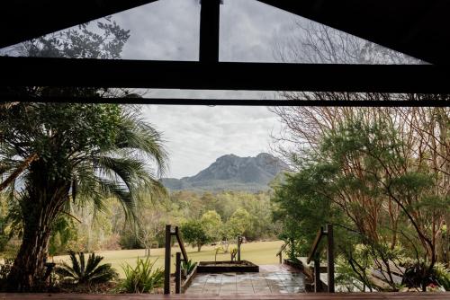 Pogled, Tuckeroo Cottages - Cockatoo Cottage in Hinterland