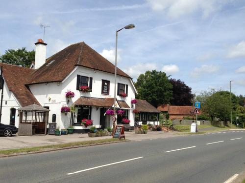 The Half Moon 3