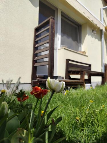 สวน, The Other House in เมอร์คูเรียคูก