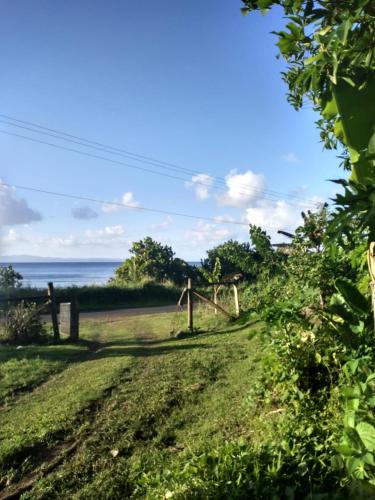 Tandra Island View Lodge in Metei