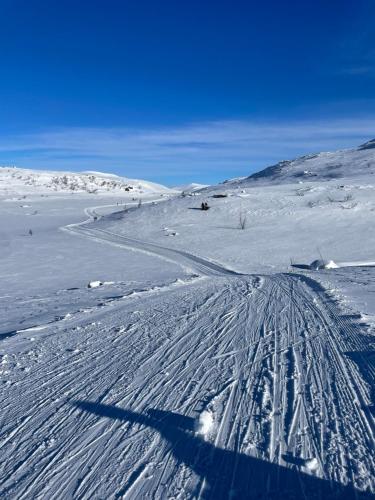 Olahraga dan Aktivitas, Your Perfect Base In Beitostølen Sleeps 8! in Beitostolen