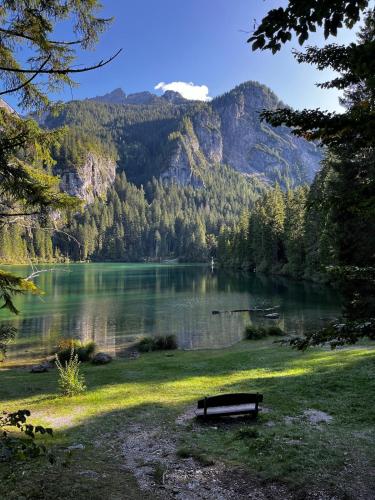 Tuvākā izklaides vieta, La Casina delle Mele in Val di Sole, Italy in Caldes