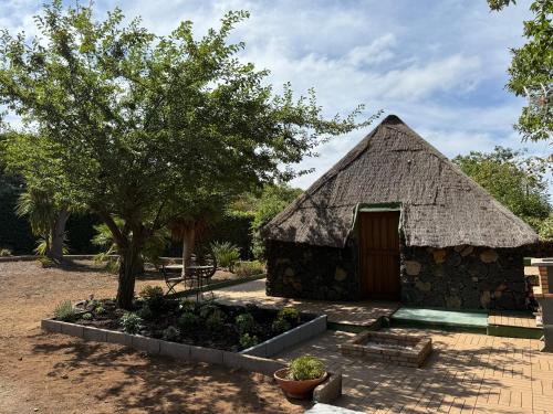 Finca de la Montaña - Cabaña gîte à louer El Sauce