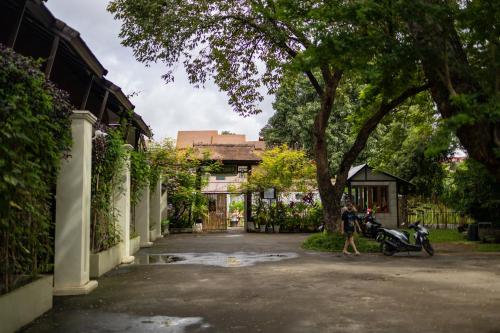 The Yard Hostel Chiang Mai in Chiang Mai