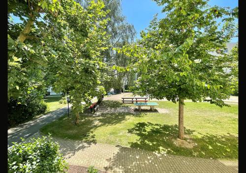Kilátás, Ferienwohnung Rote Spitzen der WAG in Altenburg