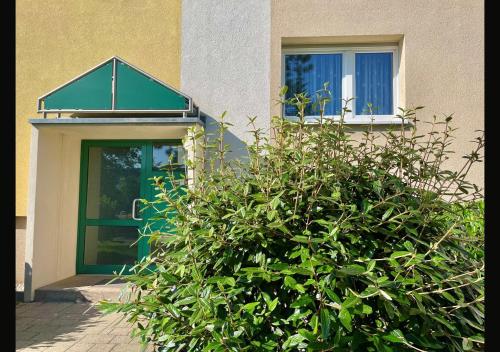外部景觀, Ferienwohnung Schlosspark der WAG in 阿爾滕堡