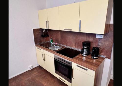 廚房, Ferienwohnung Schlosspark der WAG in 阿爾滕堡