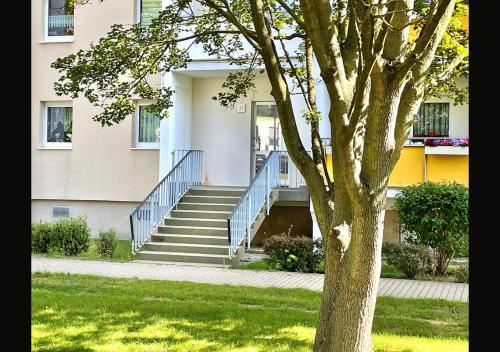 外部景觀, Ferienwohnung Schlosspark der WAG in 阿爾滕堡