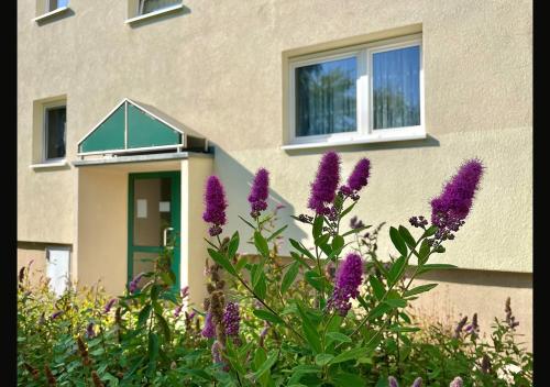 外部景觀, Ferienwohnung Skatbrunnen der WAG in 阿爾滕堡