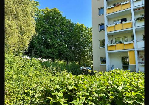 外部景觀, Ferienwohnung Skatbrunnen der WAG in 阿爾滕堡