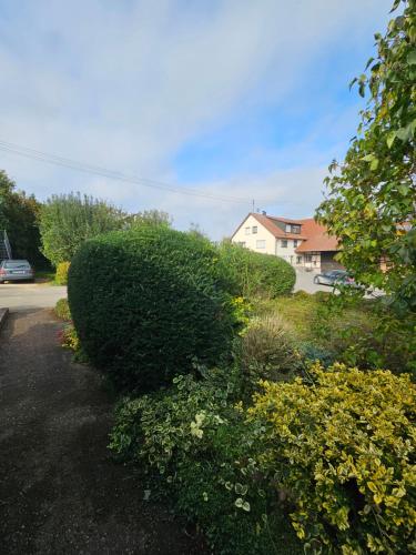 Haus Am Anger in Niederstotzingen