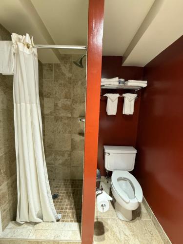 Windsor Inn Hotel - image 5