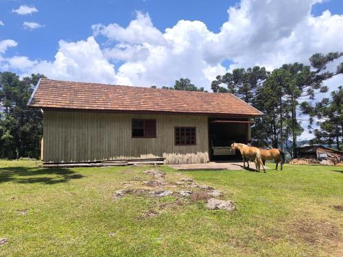 Casa Familia Sítio Alto interior (Casa Familia Sitio Alto interior) in São Joaquim (Santa Catarina)