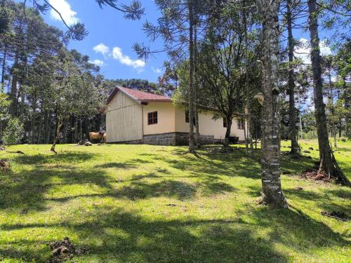 Casa Familia Sítio Alto interior (Casa Familia Sitio Alto interior) in São Joaquim (Santa Catarina)