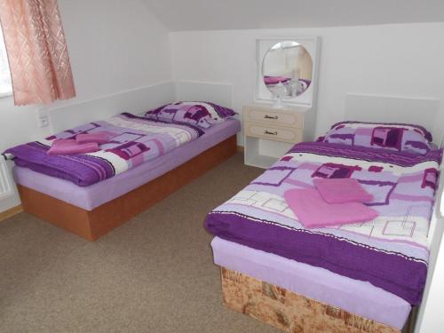 Apartment U Erlebachu in Cerny Dul