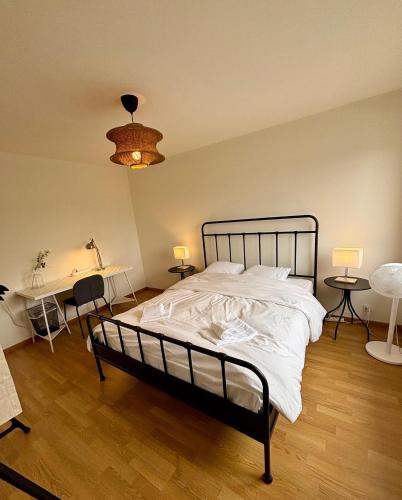 Simple and Comfortable 2BR Apartment in Zurich, Zúrich (foto 3)