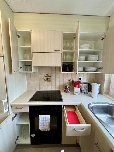 Simple and Comfortable 2BR Apartment in Zurich, Zúrich (foto 9)