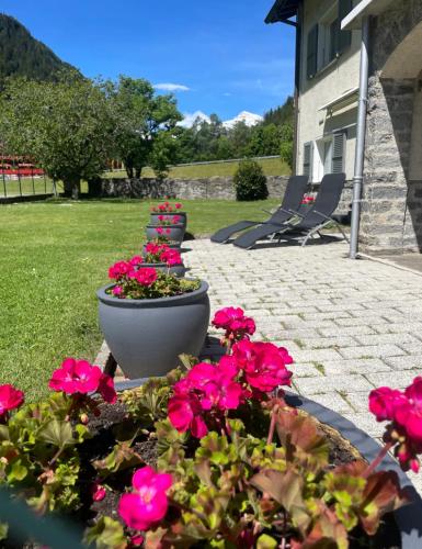 Casa Angelica in 昆圖