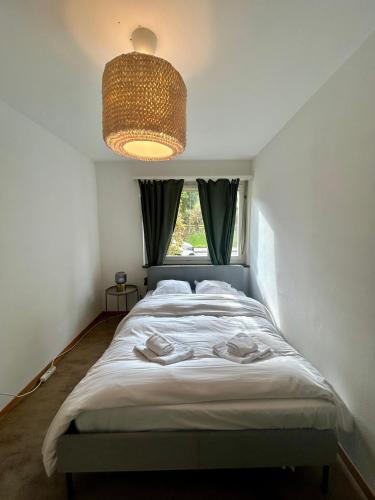 Basic Flat with Balcony in Zurich, Цюрих (фото 8)