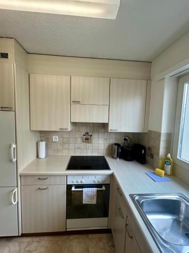 Basic Flat with Balcony in Zurich, Цюрих (фото 10)