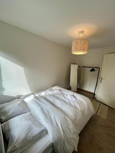 Basic Flat with Balcony in Zurich, Цюрих (фото 11)