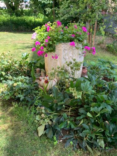 Calipso in อบาโน่ แตร์เม