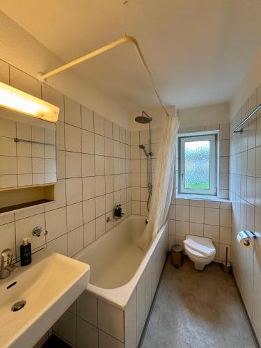 Basic 3-BR Apartment with Balcony Access, Curych (fotografie 7)