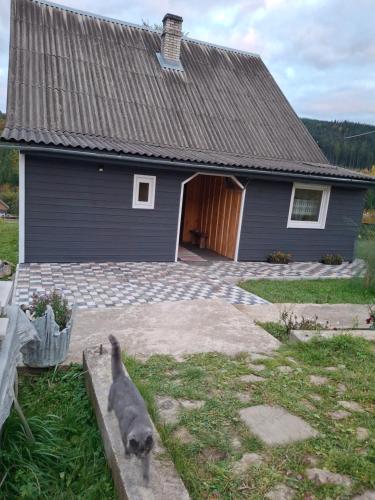 U Ilka, Lazešina (fotografie 5)