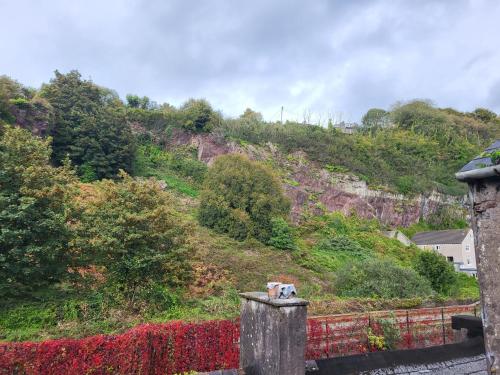 Cosy Cork Studio - cosyincork 2