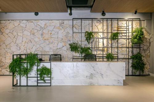 Studios aconchegantes em Floripa - OKA in Pedrita
