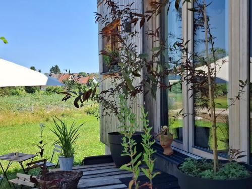 Tiny time to relax in Fleischwangen