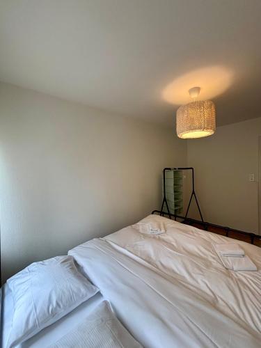 Simple and Cozy Flat in Zurich, Curych (fotografie 8)