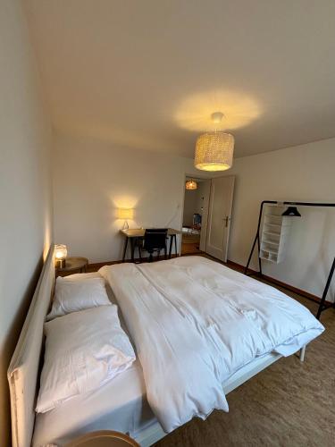 Simple and Cozy Flat in Zurich, Curych (fotografie 7)