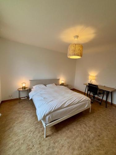 Simple and Cozy Flat in Zurich, Curych (fotografie 4)