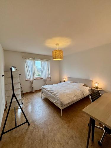 Simple and Cozy Flat in Zurich, Curych (fotografie 6)