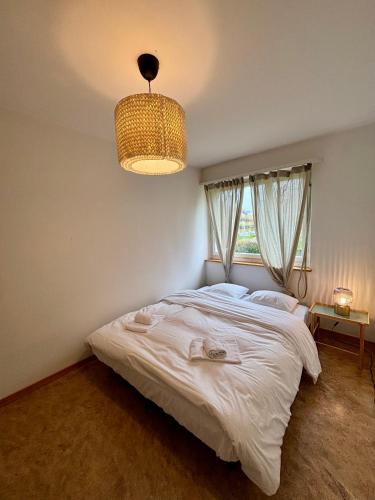 Simple and Cozy Flat in Zurich, Curych (fotografie 5)